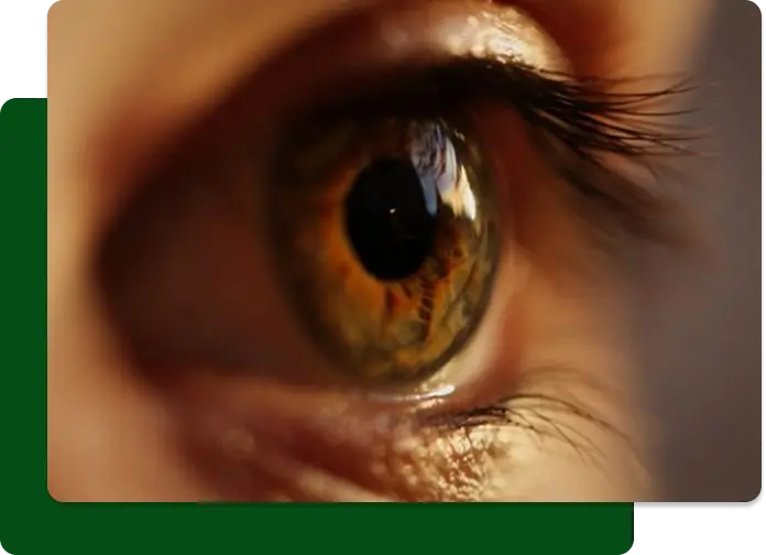 Wellenfront-Messung in Villingen-Schwenningen